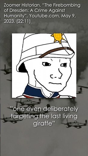 "American fighters strafed civilians at Dresden" #history #response #dresden