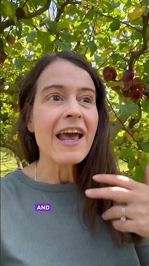 What Is an HSG and Why It Can Boost Fertility?