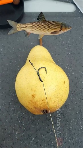 How to Hook a Pear for Big Carp! (Secret Trick) 🍐 #shorts