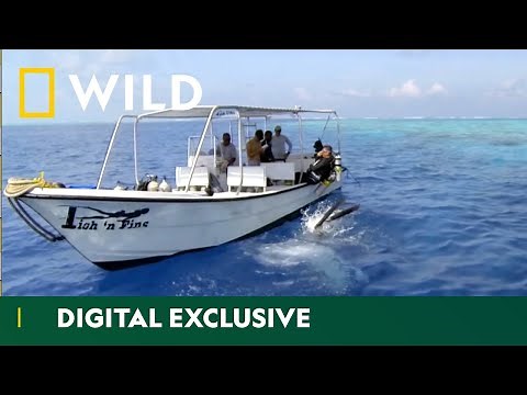 The Warriors Protecting Our Oceans | Wild Waters | National Geographic WILD UK