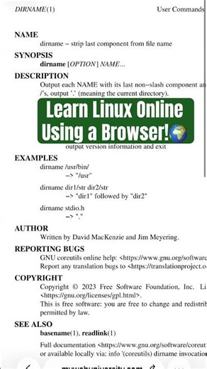Learn Linux By Practicing it Online 🌍 For Free! 🔥📚🤖 #learnlinux #ai