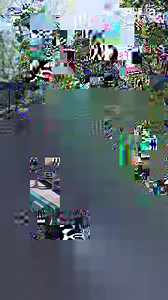 712K views · 8K reactions | Stella went to a dockdogs dock jumping competition at L.L.Bean , and… well… here’s a video. | Dog Named Stella | Facebook