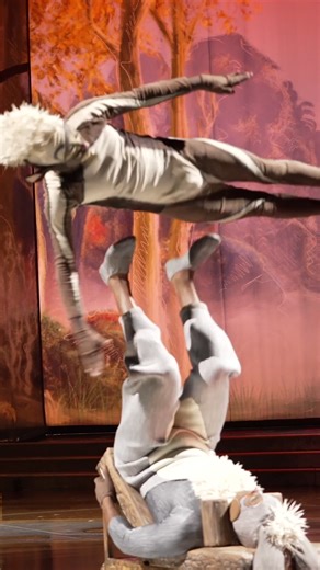 flips on flips on flips on flips 🙃🤸 Drawn to Life by Cirque du Soleil & Disney Book your tickets NOW! 🎪 cirk.me/4nfGqPk | Cirque du Soleil