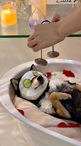 5.8M views · 162K reactions | ASMR | Manyu’s Immersive Spa Care &...