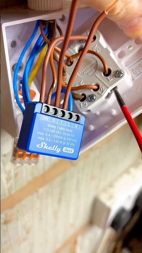 💡 Make any switch smart in minutes! Shelly makes smart homes simple. #SmartHome #shelly #asmr