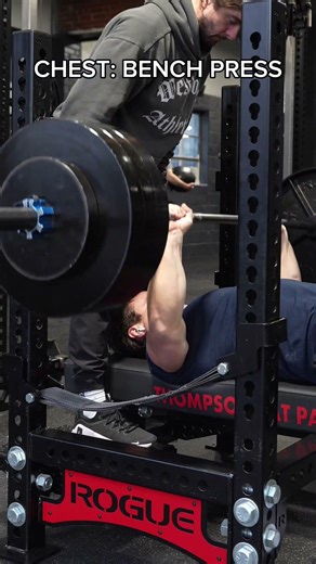 My Favorite Exercise for each Muscle Group