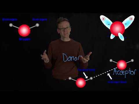 Lecture 02, concept 16: Hydrogen bonds - orbitals, donors and acceptor