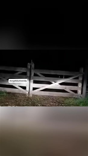 1M views · 7.4K reactions | This woman living in Appalachia was closing the gate with her German Shepherd when someone screamed! Her dog ran to the right, then was like, "Crap, my owner went the other way!"藍 | Cryptid University | Facebook