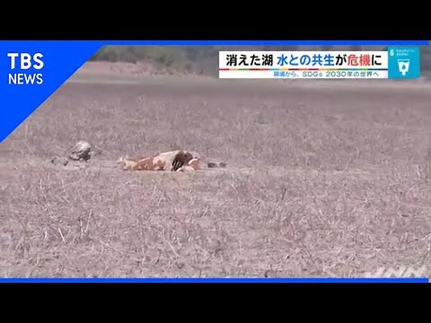 【現場から、】SDGs 2030年の世界へ、消えた湖 水との共生が危機に