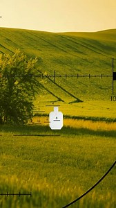 What's the estimated range of the target? The MSR2 reticle has stepped bars in the lower-right quadrant for quick ranging references. These are designed to estimate distance to targets of known height or width without running a full mil formula. You bracket the target against the bars to obtain an immediate, approximate range, then transition to the main grid for precise elevation and wind holds. This enables faster engagements when time is limited. | PrecisionRifle