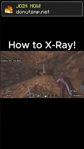 How to X-ray on minecraft! #minecraft #drdonut #donutsmp #xray