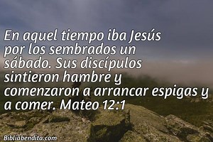 Explicación Mateo 12:1. 'En aquel tiempo iba Jesús por los sembrados un sábado. Sus discípulos sintieron hambre y comenzaron a arrancar espigas y a comer.' - BibliaBendita