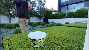 Ultimate Guide to Applying Topbuxus Health-Mix for Healthy Plants
