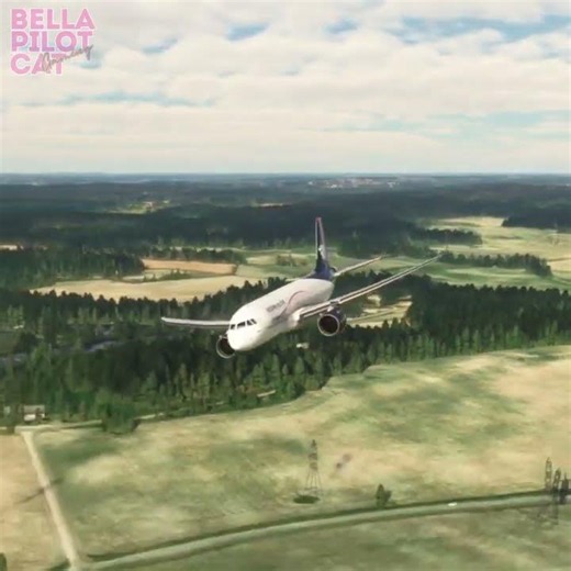 POV Heaven actually looks like this ✈️ #flightsim
