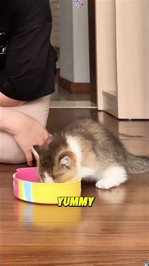 Help! Coco’s eating me broke!#ShortVideo #funny