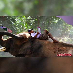 53 reactions | Imagine a world where reading is an adventure!  Dive...