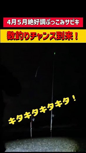 Huge catch! A night of catching tons of horse mackerel with long-distance casting and sabiki rigs...