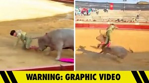 Bullfighter Violently Gored In Ass, Horrifying Video