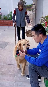 157K views · 5.6K reactions | The old man really doesn't know what's good for him..... | ABBA Remember | Facebook