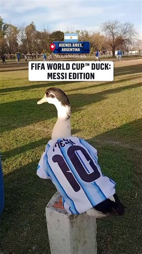 Nunca será Merlin. Es mejor en todo.
