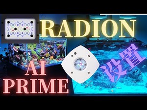 How I setup my radion leds