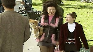 Watch The Nanny Season 5 Episode 4 - Fransom