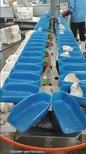 Automated sorting production line