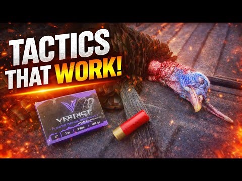 Mid-Day Turkey Hunting TACTICS That ACTUALLY WORK!!!