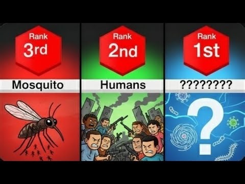 Top 60 Most Dangerous Animals in the World 🌍🦁☠️