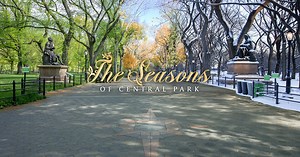 This Clever Timelapse Blends Seasons in Central Park Into One Frame