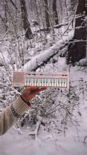 TFW your eyes become larger 👀 Hope everyone who is experiencing a snow day right now is having a good one. Stay warm and cozy ❄️ ___ #kissfromarose #seal #carolclevelandsings #casiokeyboard #blizzard2026 #batmanforever | Carol Cleveland Sings