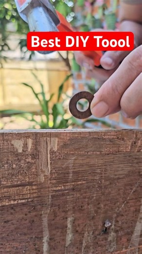 DIY Circle Cutter in Action #diy #ideas