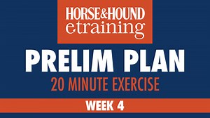 20-minute weekly work-out: raised trotting or canter poles - Horse & Hound
