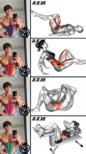 six pack abs exercise #shorts #abs #sixpackabs #shortvideo #absworkout