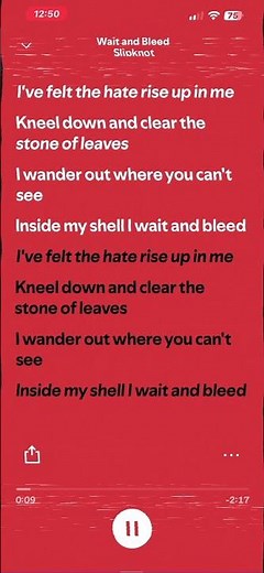 wait and bleed - Slipknot #fypシ #lyrics #slipknot #fyp #lyricsfyp #songlyrics