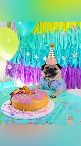 39K views · 2.4K reactions | In honor of Doug The Pug’s Birthday TOMORROW, here is the music video for the song inspired by him - made up of your videos!!! Thank you to everyone for being apart of this, it makes us emotional to see just how much everyone loves celebrating their dogs.  You might see some familiar friends in the video too!! | Doug The Pug | Facebook