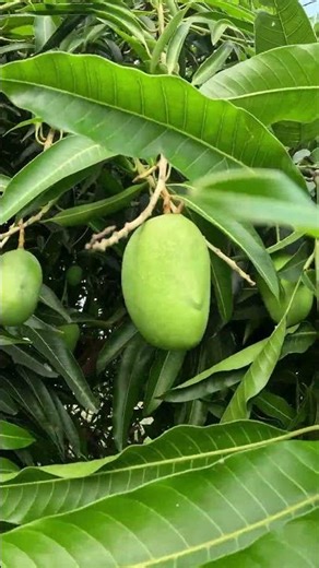 Iphone VS GoPro 🔥😳