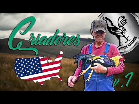 LOS MEJORES CRIADORES DE GALLOS AMERICANOS V.1