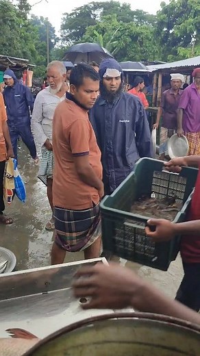 667K views · 5.4K reactions | বৃষ্টির দিনে নদীর জেতা কিছু মিশালী মাছ কেমন দাম ? #fishing #reelsvideoシ #foryoupagereels #newpost | Village fishing Method | Facebook