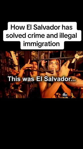 Nick Shirley on TikTok