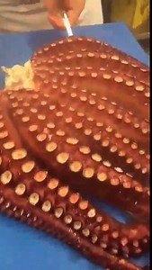 593K views · 1.1K reactions | Cooking octopus recipe | Amazing Chef | Facebook
