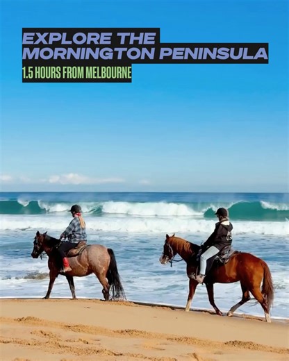 10 must-do Experiences on the Mornington Peninsula 🌊🍷 From indulgent spas to world-class wine and breathtaking coastal views — your perfect escape is just a short drive away from Melbourne. | Visit Melbourne