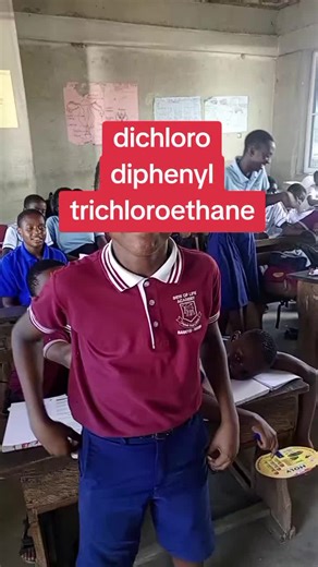 Understanding DDT: What Does It Mean?