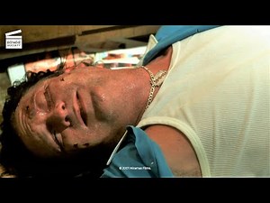 Kill Bill: Volume 2 - Un Serpent Caché dans la Valise