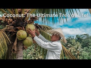 Coconut Trees: The Secret to a Perfectly Sustainable Life