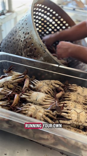 What’s the true cost of a dozen boiled crabs? Can’t wait for the experts in the comments.. 😂