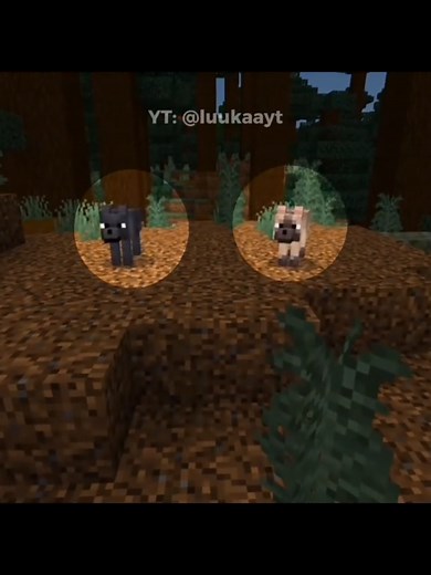Domestique os Novos Lobos no Minecraft 1.21