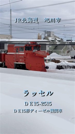 特急サロベツ＆ラッセルとの約束#jr北海道 #北海道 #撮り鉄 #列車 #旭川市 #旅行