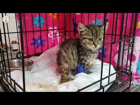 Born with birth defects, he proved that love can heal his scars