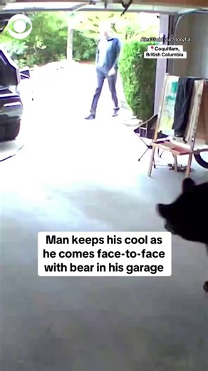 A man came face-to-face with a black bear in his garage, immediately going into defense mode to scare the bear off. He kept his cool while clapping at the bear, which lunged at him, and eventually found safety in his car from the bear and its cub. | CBS News
